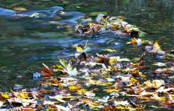 Royalty Free Photo of an Autumn Creek
