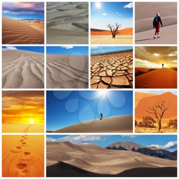 Royalty Free Photo of the Gobi Desert Collage