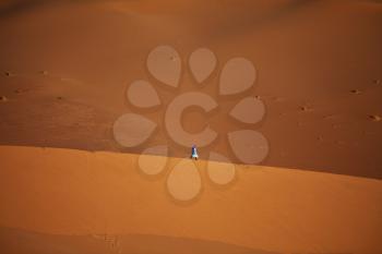 Royalty Free Photo of a Person in the Sahara Desert