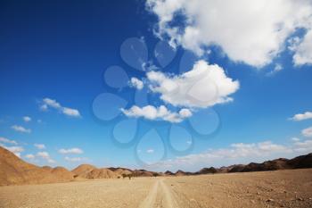 Royalty Free Photo of an Egyptian Landscape