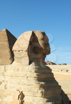 Royalty Free Photo of the Egyptian Sphinx