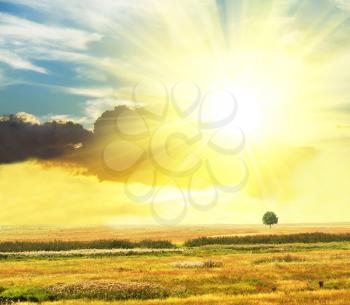 Royalty Free Photo of a Field and Bright Sun
