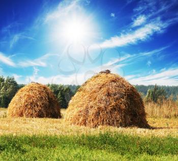 Royalty Free Photo of Hay Piles