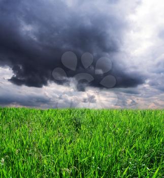 Royalty Free Photo of a Field and Storm Cloud