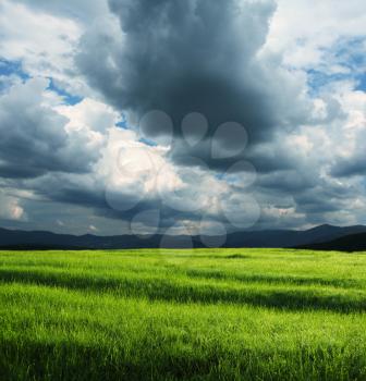 Royalty Free Photo of a Field and Storm Clouds
