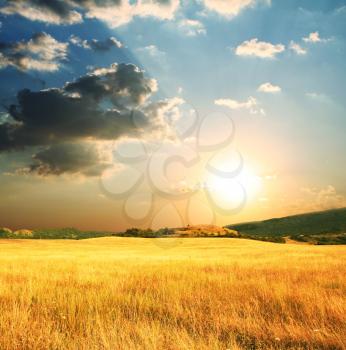 Royalty Free Photo of a Field at Sunrise