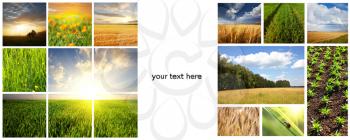 Royalty Free Photo of Field Collages