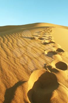 Royalty Free Photo of Footprints in the Sand