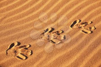 Royalty Free Photo of Hand Prints in the Sand