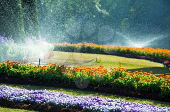 Royalty Free Photo of a Garden Being Watered