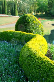 Royalty Free Photo of a Hedge in a Garden