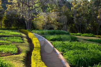 Royalty Free Photo of a Garden and Path