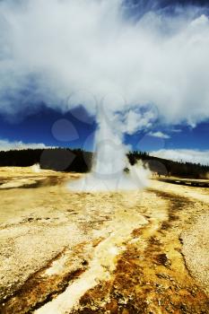 Royalty Free Photo of Castle Geyser