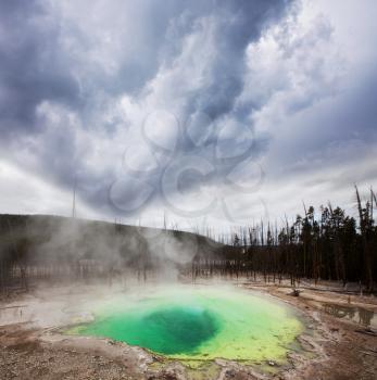 Royalty Free Photo of a Geyser in Yellowstone Park