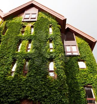 Royalty Free Photo of a House Covered in Vines