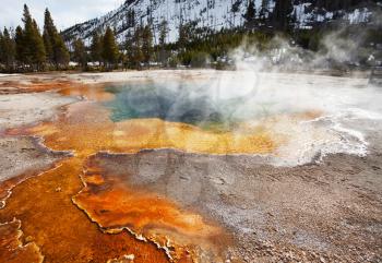 Royalty Free Photo of Mammoth Hot Spring