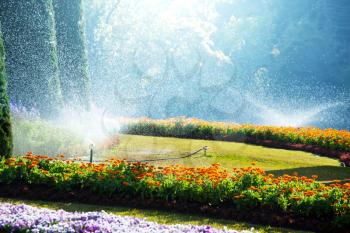 Royalty Free Photo of Sprinklers in a Garden 