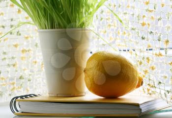 Royalty Free Photo of lemon and Grass on a Book