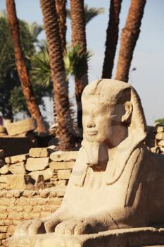Royalty Free Photo of a Sphinx in Luxor, Egypt