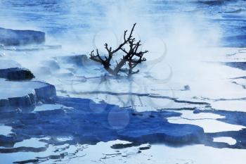 Royalty Free Photo of Mammoth Hot Spring in Yellowstone Park, USA