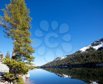Royalty Free Photo of a Lake in Yosemite