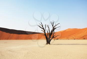 Royalty Free Photo of Dead Valley, Namibia
