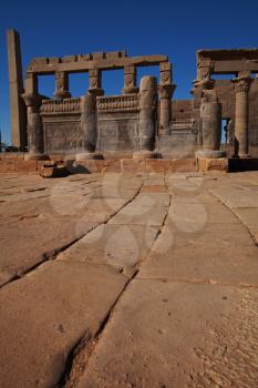 Royalty Free Photo of Columns in  Philae Temple, Aswan