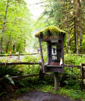 Royalty Free Photo of a Phone in the Forest