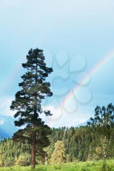 Royalty Free Photo of a Rainbow in the Mountains