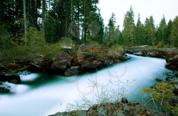 Royalty Free Photo of a River