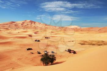 Royalty Free Photo of an Oasis in the Sahara Desert