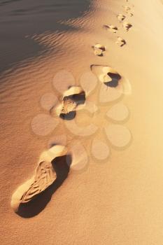 Royalty Free Photo of Footprints in the Sand