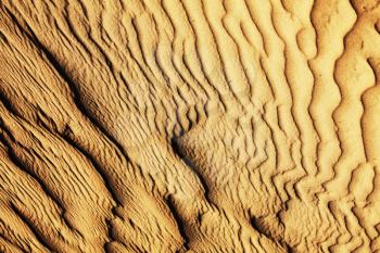 Royalty Free Photo of a Sand Dune Texture