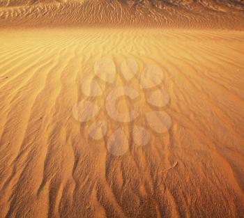 Royalty Free Photo of a Sand Dune Texture