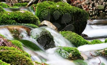 Royalty Free Photo of a Waterfall Over Green Stones