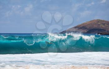 wave on Hawaii