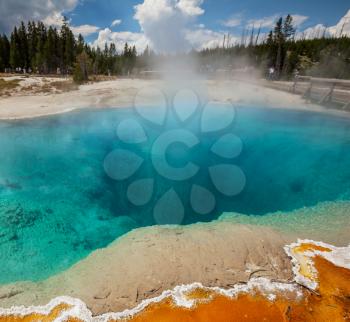  West Thumb Geyser Basin in Yellowstone National Park