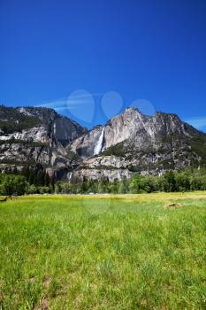 Royalty Free Photo of Yosemite