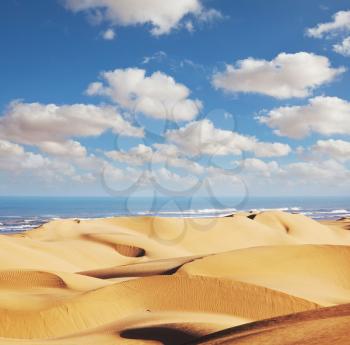 Atlantic coast in Western Sahara,Morocco