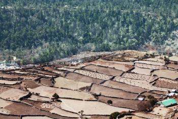 fields in high Nepalis Himalaya