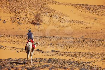 Sudanese men ride camel