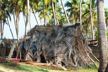 palm hut in Sri Lanka