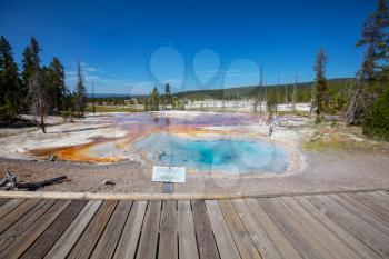  West Thumb Geyser Basin in Yellowstone National Park