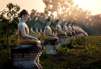 Buddhas statue garden