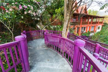 Walkway in tropical forest