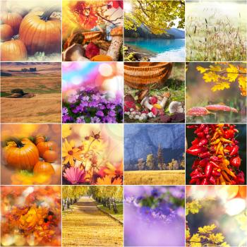 autumn orange collage