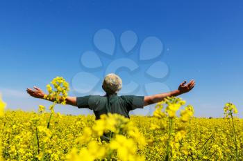 Happy man in the yellow field