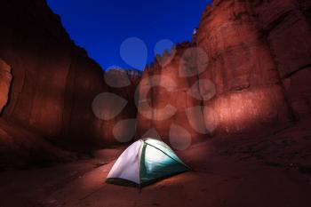night scene in desert camping