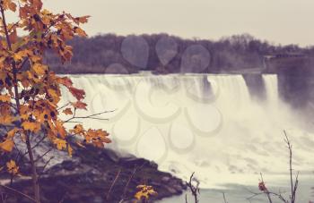 Niagara waterfall in autumn season