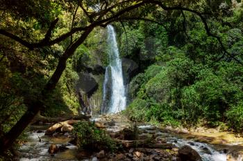 Majestic waterfall in the rainforest jungle of Costa Rica. Tropical hike.